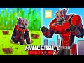 I Survived 100 DAYS As ANT MAN In HARDCORE Minecraft