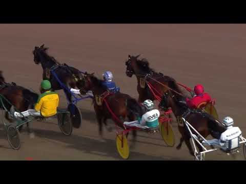 Uttagningslopp 4 Svenskt Trav Oaks 2023 - Granger