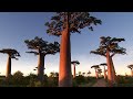 Madagascar A Country Full Of Breathtaking Nature Somewhere On Earth