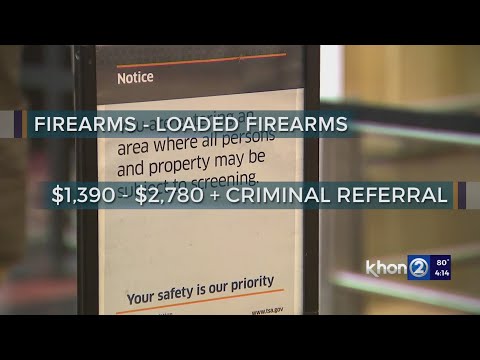 'Alarming' number of guns caught by TSA tops 20-year record in just 9 months