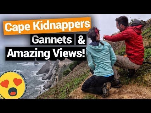 🐤 Cape Kidnappers in Hawke’s Bay – New Zealand's Biggest Gap Year Video