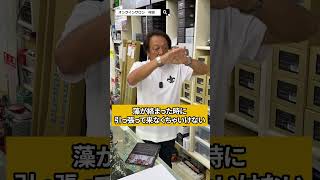 雷魚!切れるモンなら切ってみろ?@村田基 #村田基 #釣り#fishing