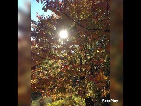 Kujdesi ndaj natyres