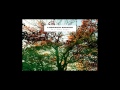 Ludovico Einaudi - Brother [HD]