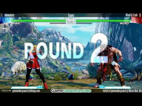 GUM06 SFV Teams - Animaniacs Vs. Weed Is Trash