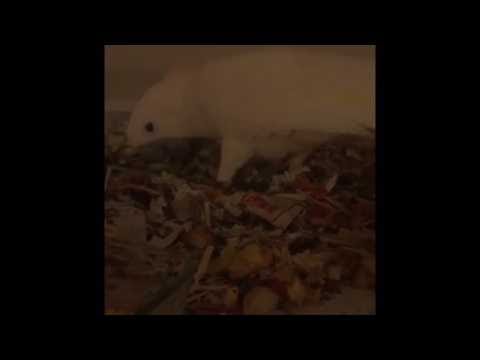 Misha-bird is mad at me about lots of things