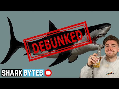Shark Scientist DEBUNKS The 'Black Demon' Shark!