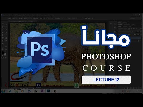 مقدمة دورة فوتوشوب | Adobe Photoshop | Creative Online Courses
