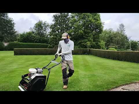 ALLETT Buffalo Cylinder / Reel Mower