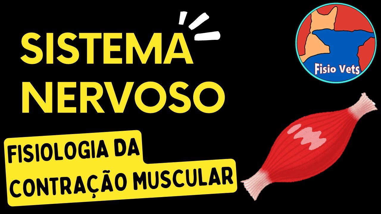 Neurofisiologia - Contração muscular - Medicina veterinária