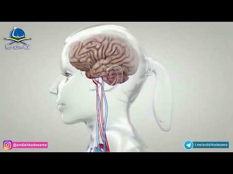 Die Öffnung des dritten Auges durch spirituelle Übungen