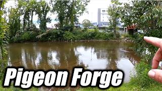 Where Can I Go Bank Fishing in Pigeon Forge & Sevierville Tennessee?