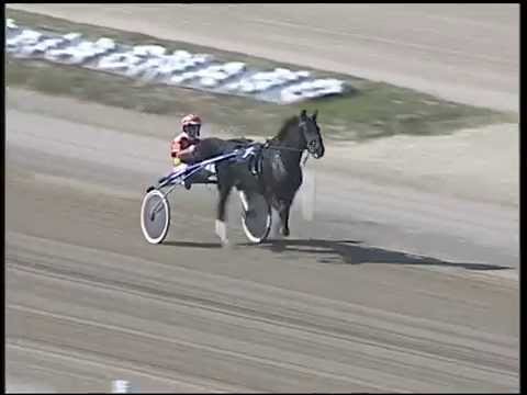 Trotto 19/10/2014 - 1° prova di riqualifica