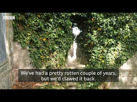 Whittington Castle facing closure after Covid-19 lockdown