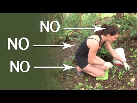 Is Gardening Hurting Your Back? Problem Fixed!