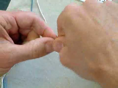 Tekhelet Tying Methods: Rav Amram Gaon