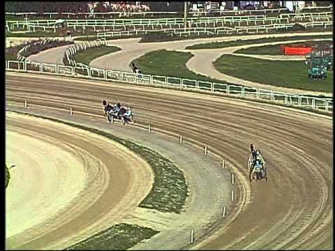 Trotto 15/11/2015 - 2° prova di qualifica