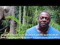 David Murray Kiskeya Encounter 2019 - República Dominicana