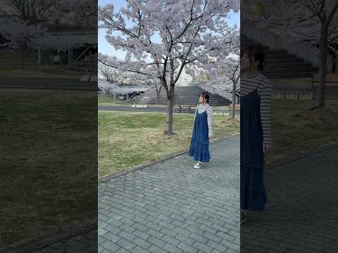 東北文化学園大学ってどんな大学？
