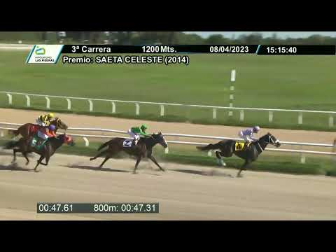 230408 c03 - LADY OF HEART - HIPODROMO LAS PIEDRAS