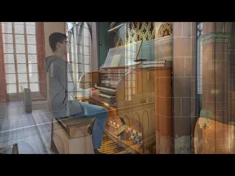 EG 316 | Lobe den Herren | Orgel