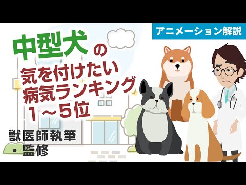 犬の最も一般的な病気