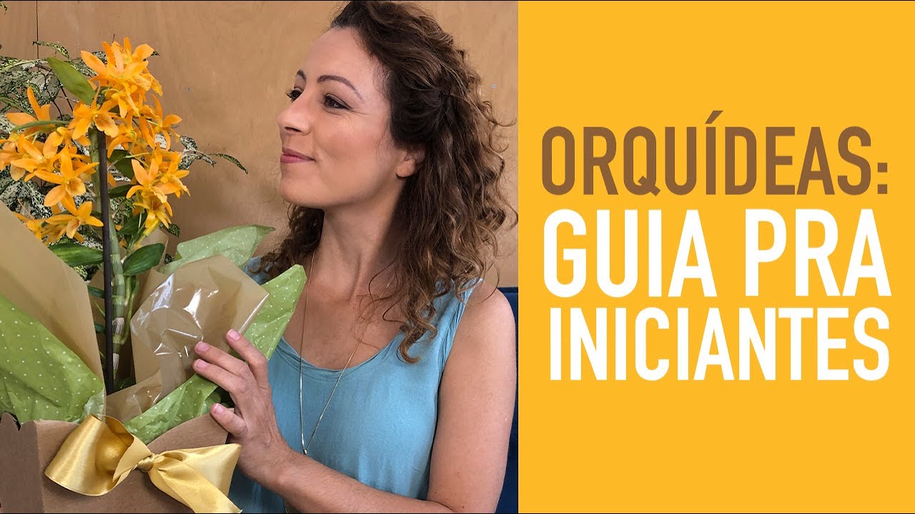 5 DICAS pra CUIDAR BEM de ORQUÍDEAS