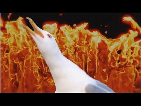 Totally Random 2023#4