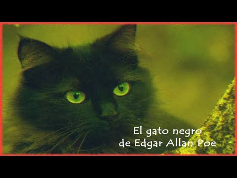 el gato negro de Edgar Allan Poe cuento completo narrado en español. En la voz de Tintero creativo