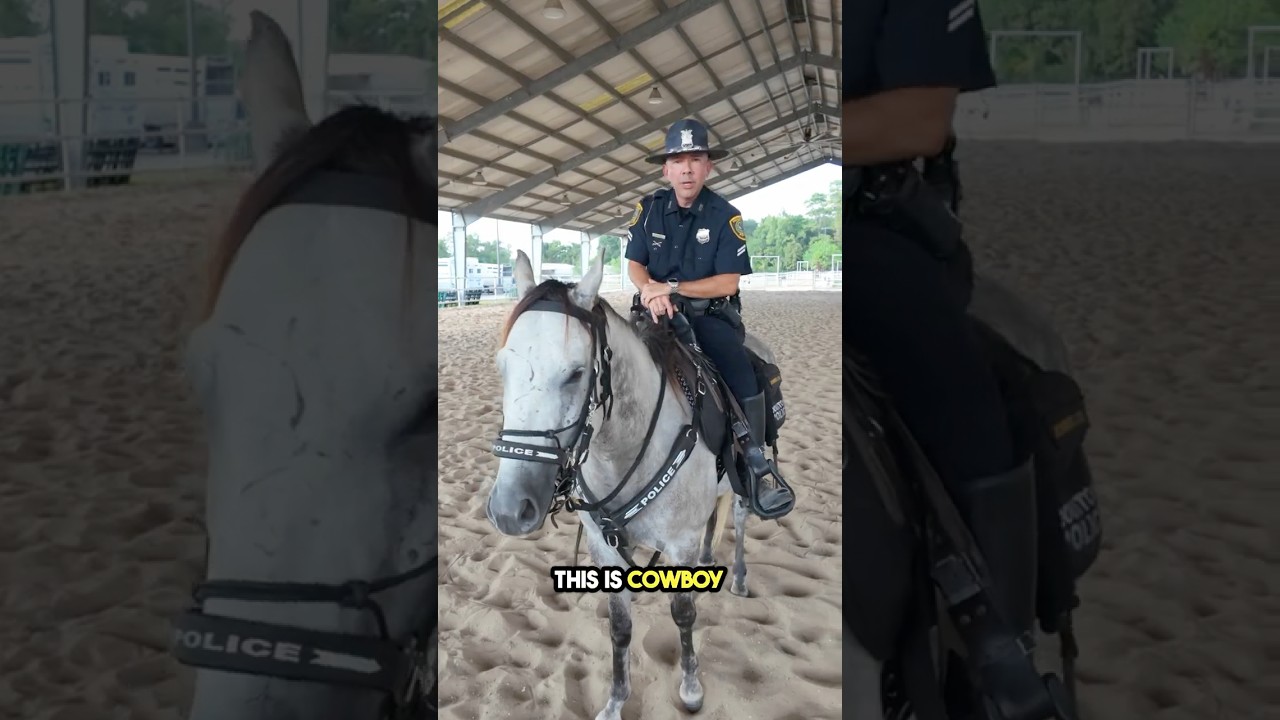 HPD Testimonial 4