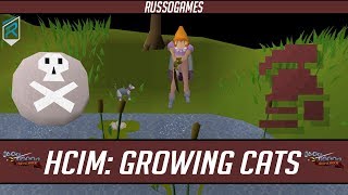 OSRS HCIM Tips & Tricks: Growing Cats