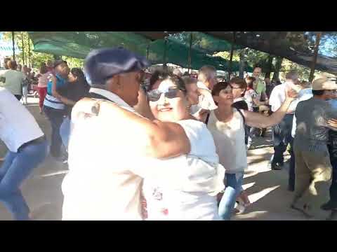 BAILE DE CAMPO  -  KEVIN Y SU ACORDEON - LA SARITA (Santa Fe)