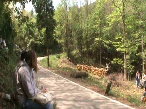 Rally degli Abeti 2010 IRC cup pt1