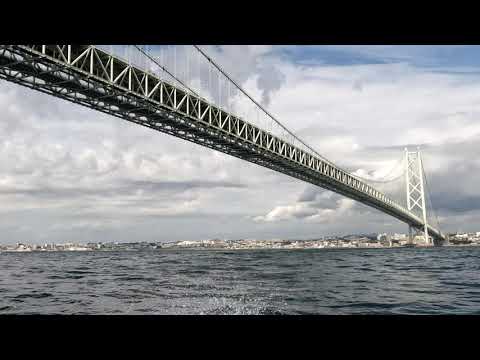 明石海峡大橋 青物篇