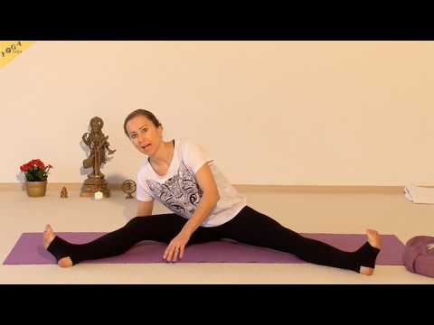 Yogastunde "Asana exakt, viele Variationen" - 180 Minuten - mit Sukadev und Sabine