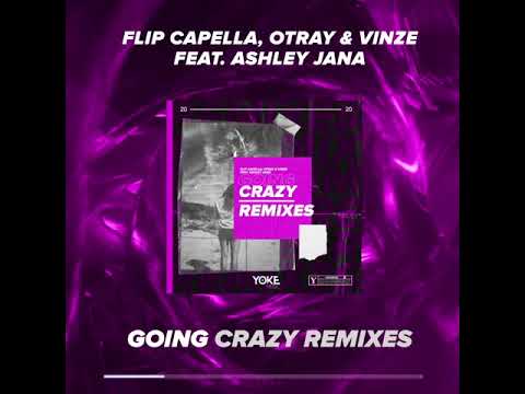 Flip Capella, Otray & Vinze feat. Ashley Jana - Going Crazy (Remixe) (Mega Mix) (short Teaser)
