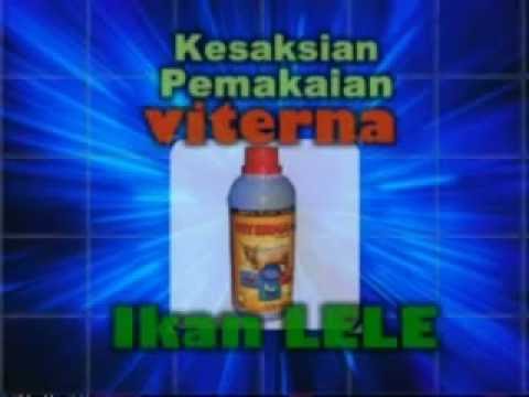 Plastik penis operasi Potensi dan menonton film porno