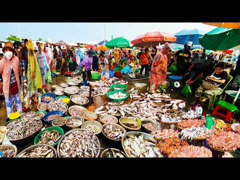 Early Morning Fish Market, Fish sellers in the rain, Plenty of Fish