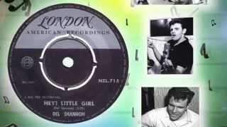 Del Shannon -  Hey Little Girl