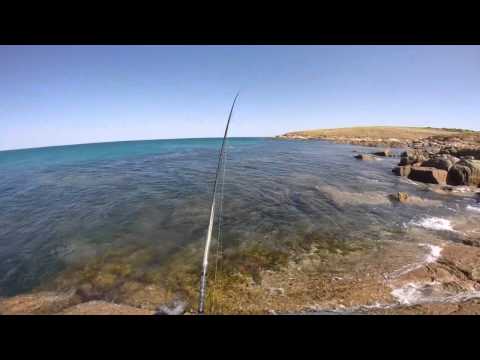 Rock Fishing South Australia For Australian Salmon