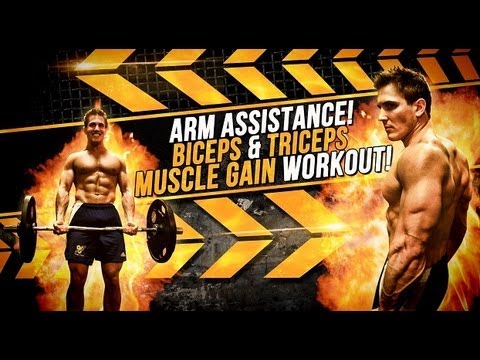 Arm Assistance! Biceps & Triceps Muscle Gain Workout!