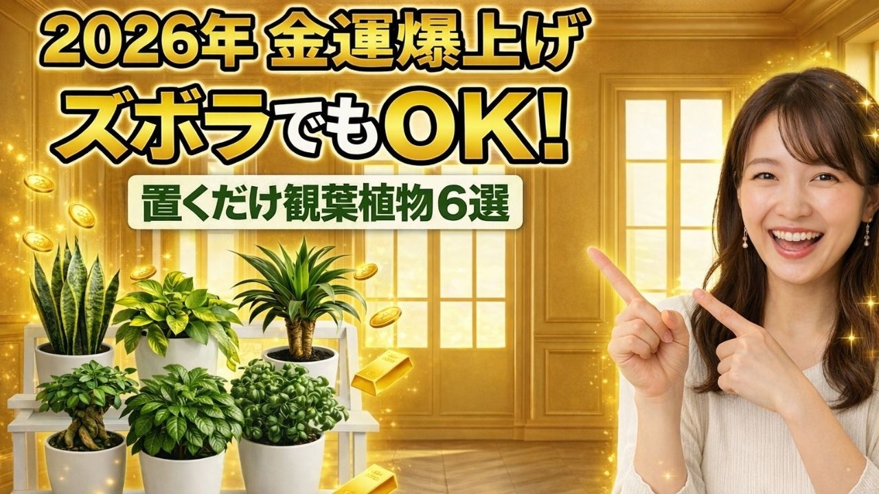 【2026年版】ズボラでもOK！置くだけで金運が上がる観葉植物6選