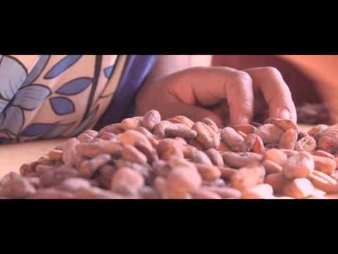 A la rencontre du cacao grand cru de Madagascar