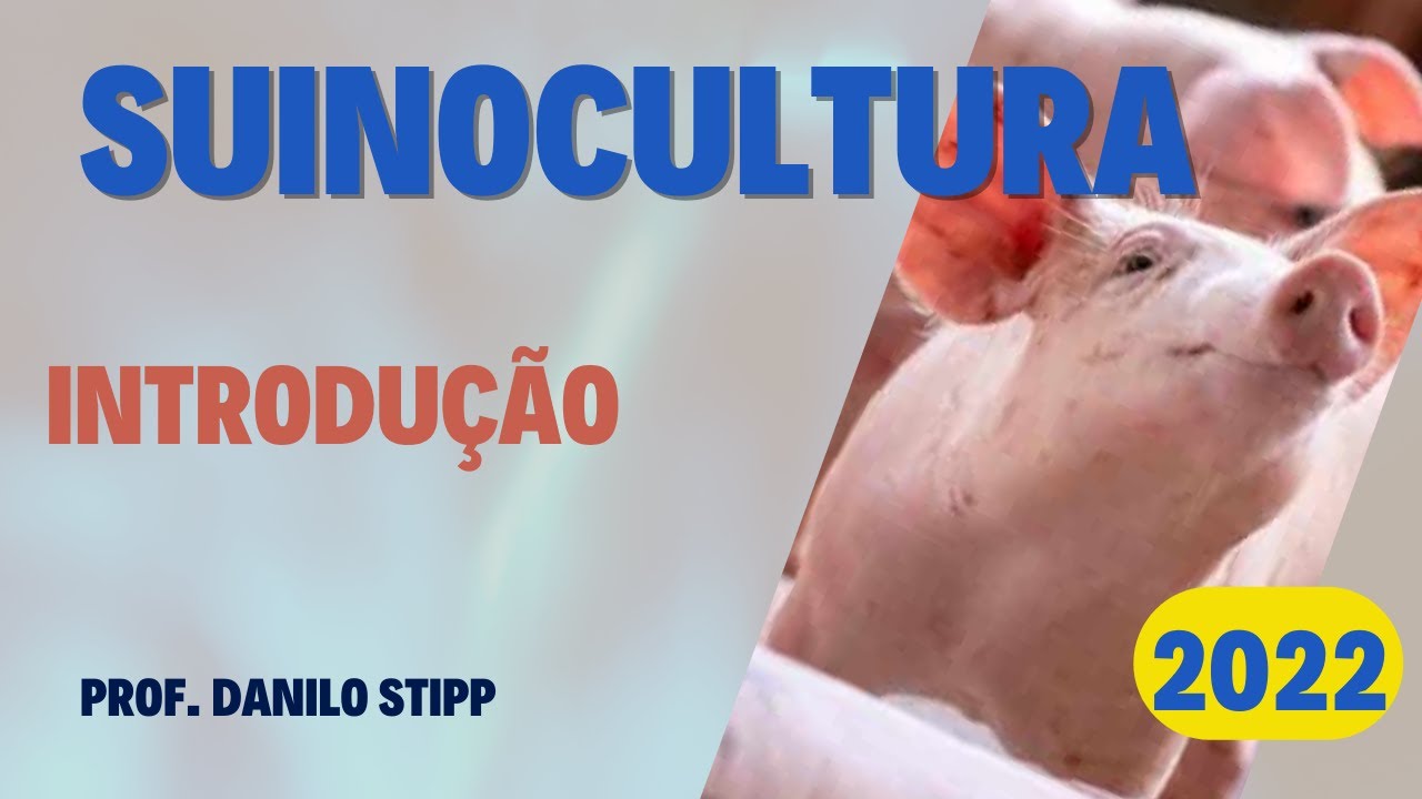 #1 - Introdução à suinocultura 2022/23