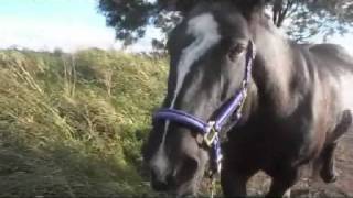 If I could make you mine ♥