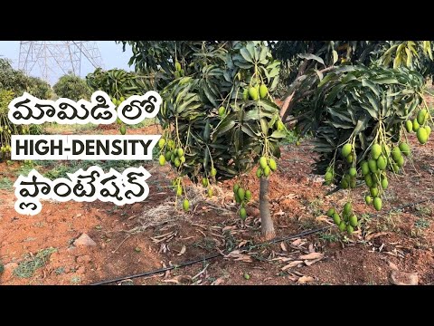 Watch our farm journey