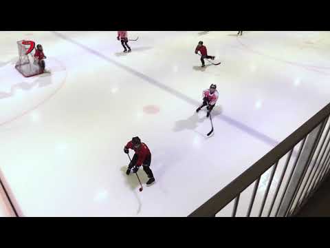 F1 Hippoliiga JYP E-tytöt - LKP 20.1.2018 Buugi