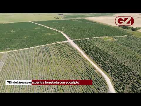 Maestre Campo - 812 hectáreas