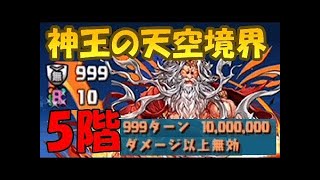 【パズドラ実況】　神王の天空境界　５階　初見プレイ　ノーコン　（ソロ）　光イデアル×ディアブロス