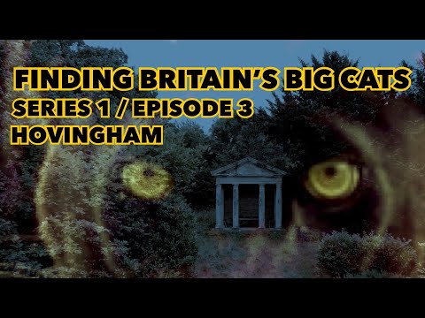 Finding Britain’s Big Cats | Series 1 / Episode 3